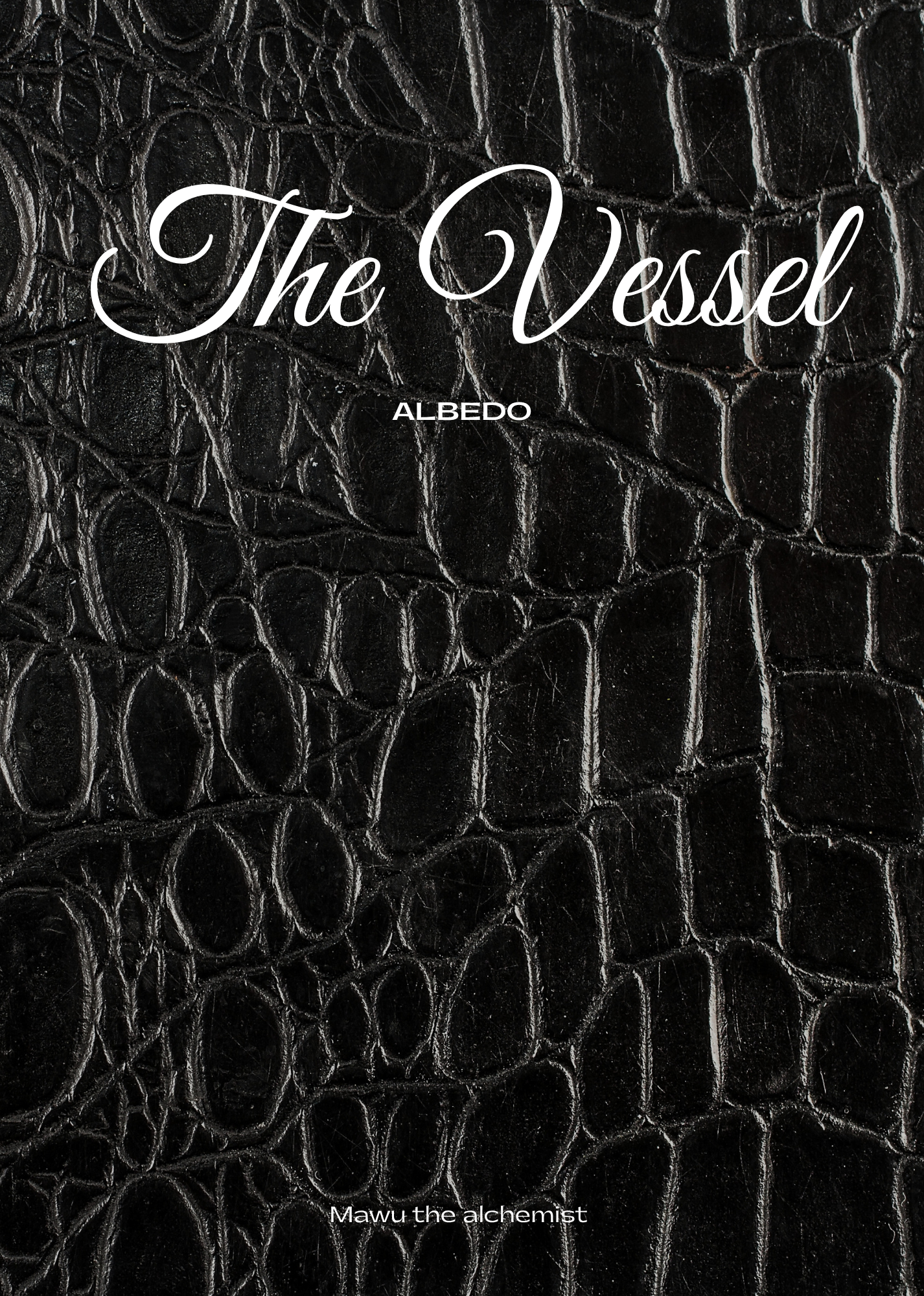 The Vessel Albedo | Digital